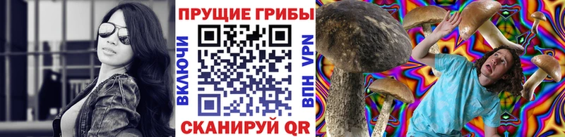 Псилоцибиновые грибы MAGIC MUSHROOMS  Купить закладки  Северобайкальск 